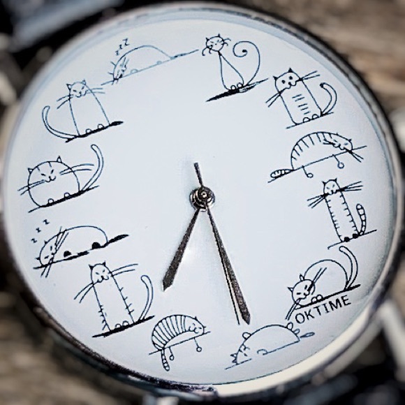 Cat Nap Japanese Faux Leather Fashion Watch - Picture 5 of 5